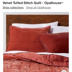 Opalhouse velvet comforter
